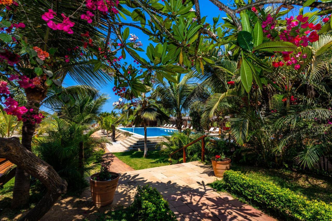 Hotel Punta Camaron Bungalows & Suites ソリトス エクステリア 写真